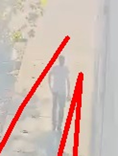 Zoom on the region the camera flagged