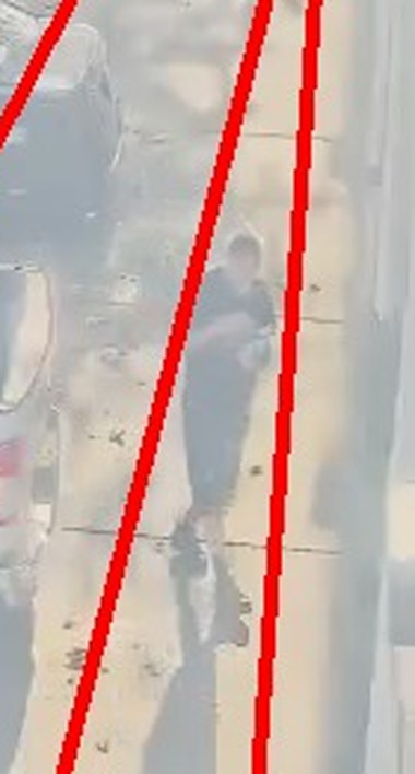 Zoom on the region the camera flagged