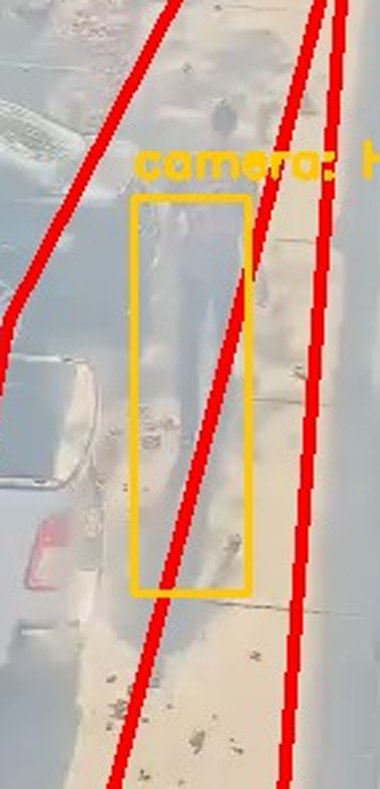 Zoom on the region the camera flagged
