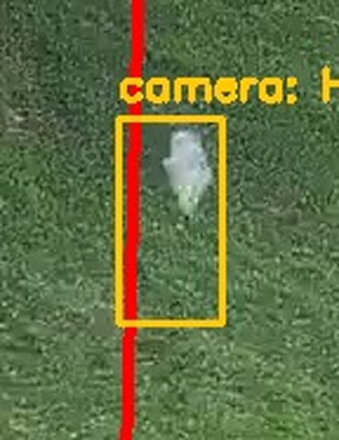 Zoom on the region the camera flagged