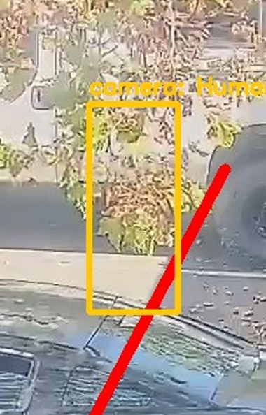 Zoom on the region the camera flagged