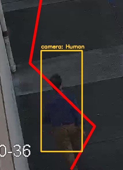 Zoom on the region the camera flagged