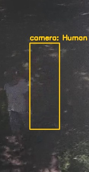 Zoom on the region the camera flagged