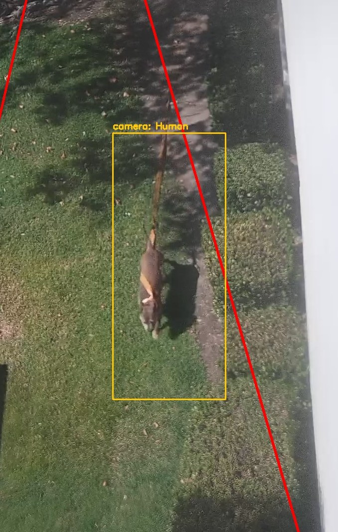 Zoom on the region the camera flagged
