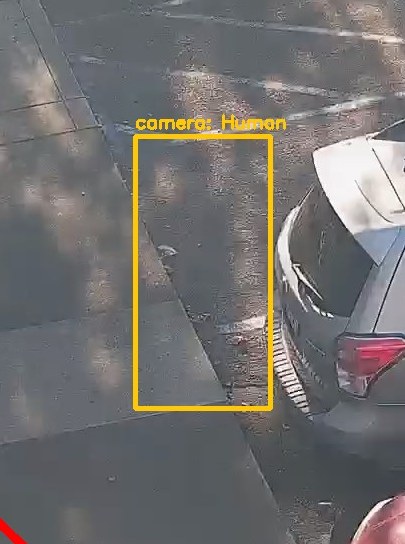 Zoom on the region the camera flagged