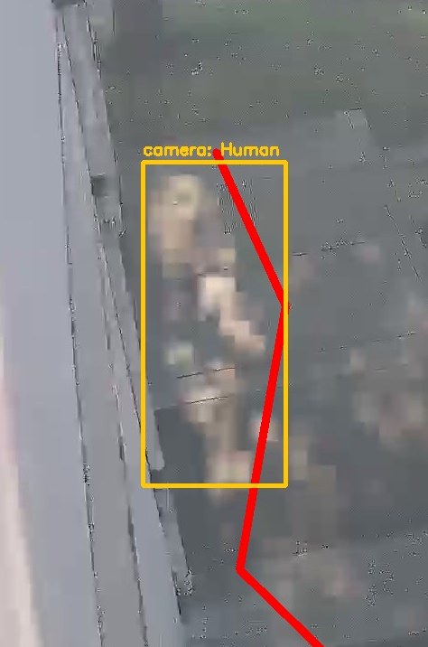 Zoom on the region the camera flagged