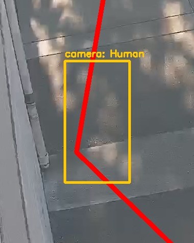 Zoom on the region the camera flagged