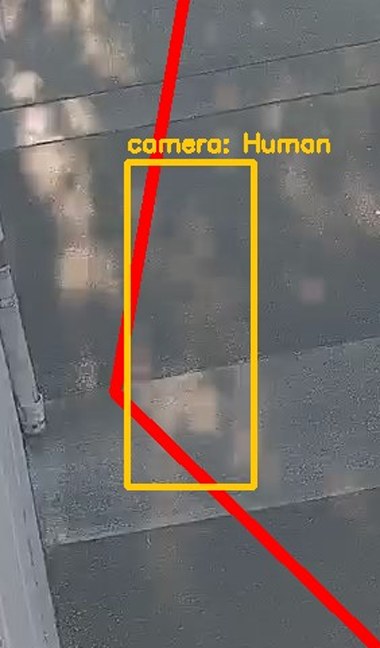 Zoom on the region the camera flagged