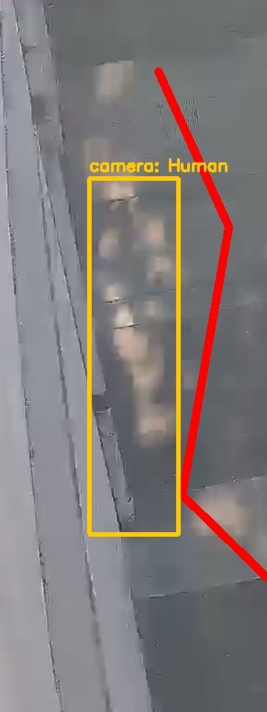 Zoom on the region the camera flagged