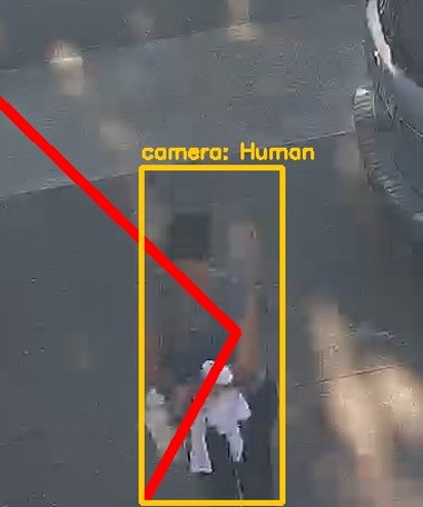 Zoom on the region the camera flagged