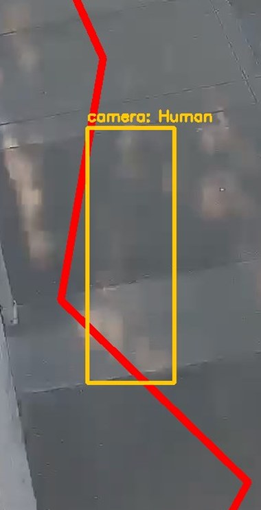 Zoom on the region the camera flagged