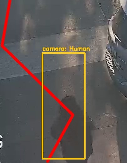Zoom on the region the camera flagged