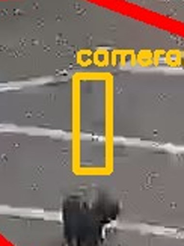 Zoom on the region the camera flagged