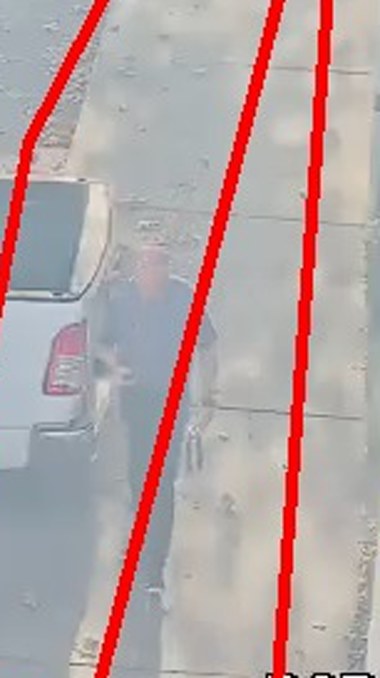 Zoom on the region the camera flagged