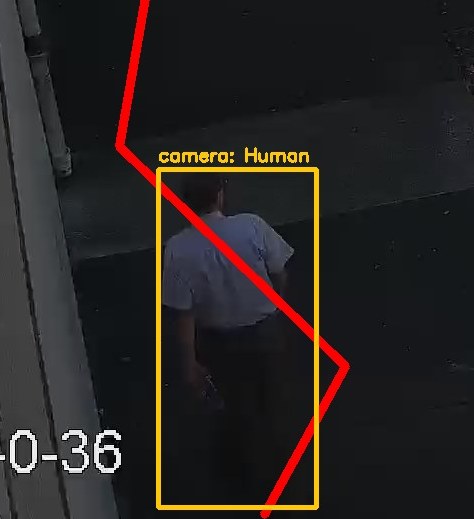Zoom on the region the camera flagged