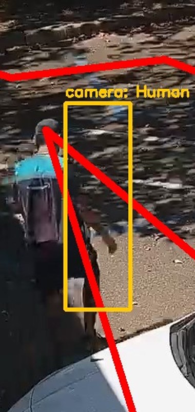 Zoom on the region the camera flagged