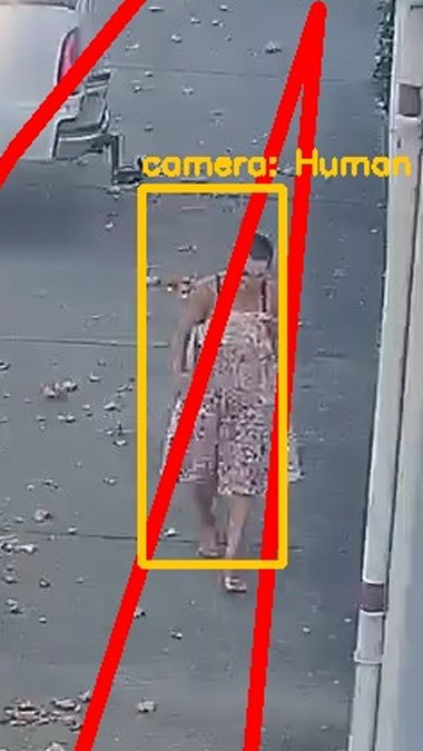 Zoom on the region the camera flagged