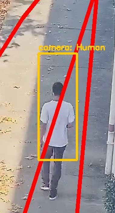 Zoom on the region the camera flagged