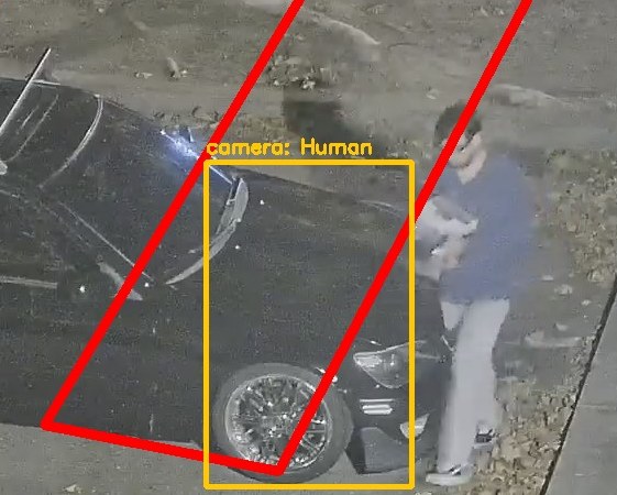 Zoom on the region the camera flagged