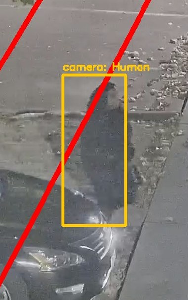 Zoom on the region the camera flagged