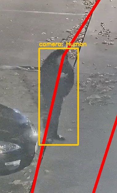 Zoom on the region the camera flagged