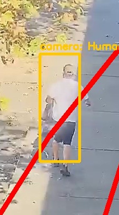 Zoom on the region the camera flagged