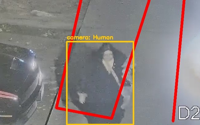 Zoom on the region the camera flagged