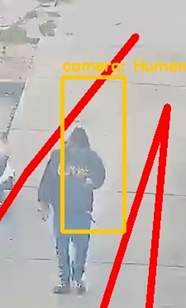 Zoom on the region the camera flagged