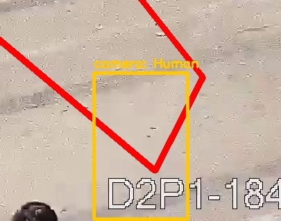 Zoom on the region the camera flagged