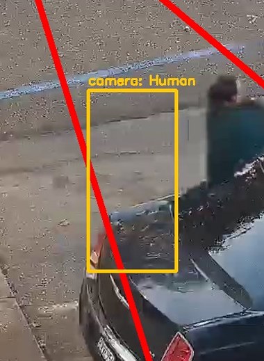 Zoom on the region the camera flagged