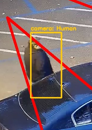 Zoom on the region the camera flagged