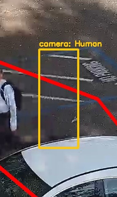 Zoom on the region the camera flagged