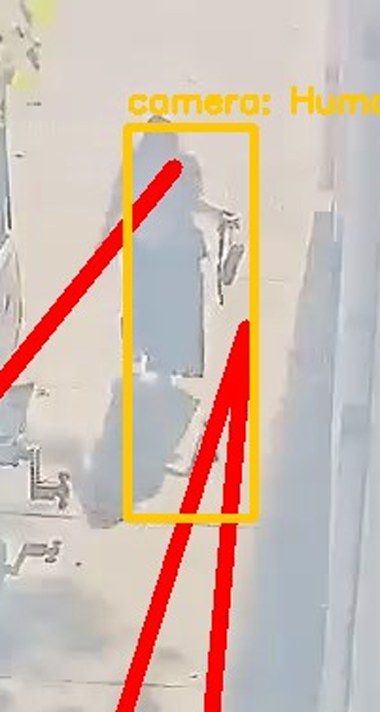 Zoom on the region the camera flagged