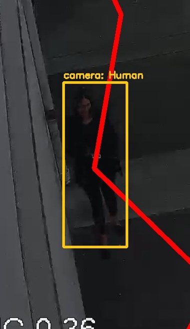 Zoom on the region the camera flagged