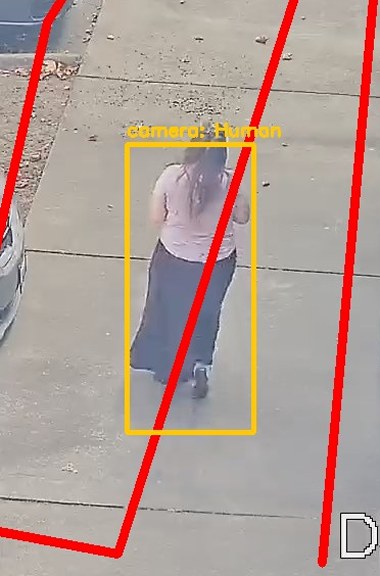 Zoom on the region the camera flagged