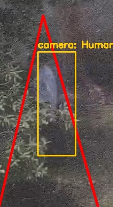 Zoom on the region the camera flagged