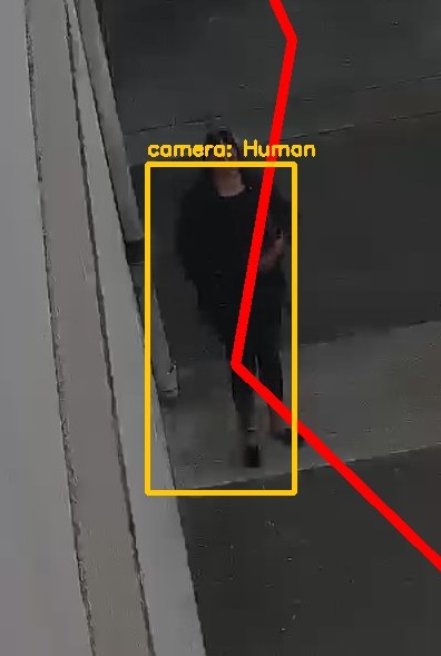 Zoom on the region the camera flagged