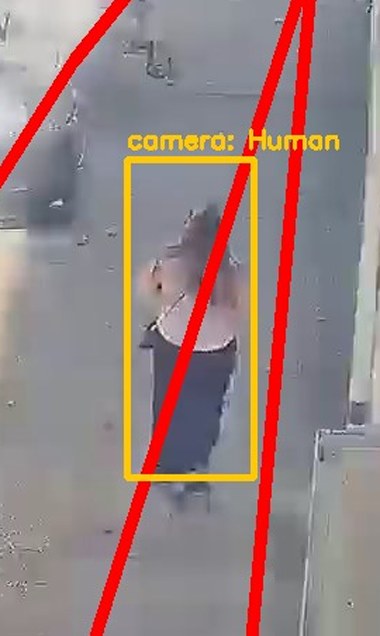 Zoom on the region the camera flagged