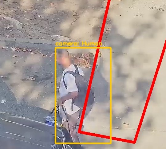 Zoom on the region the camera flagged