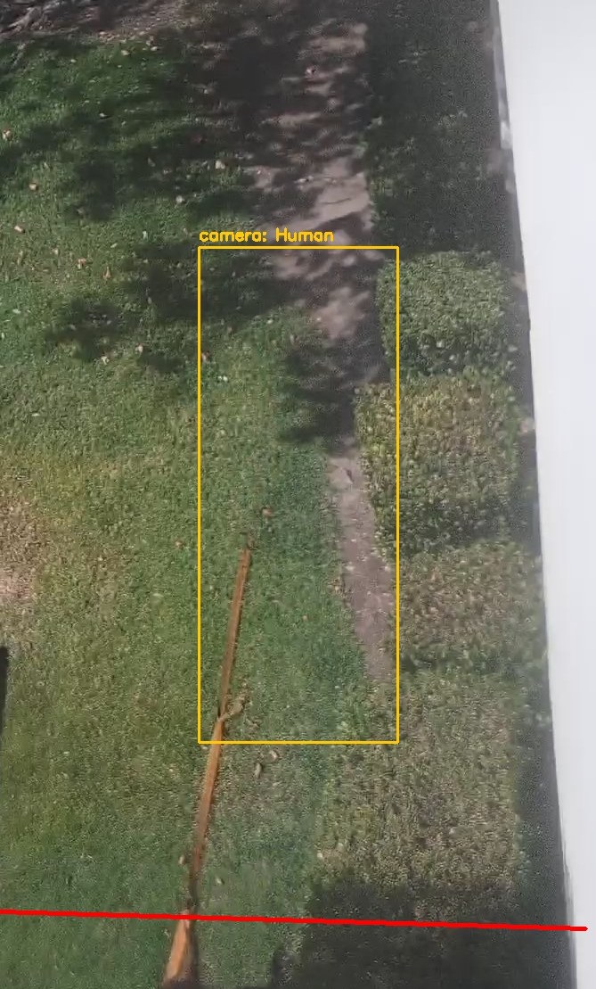 Zoom on the region the camera flagged