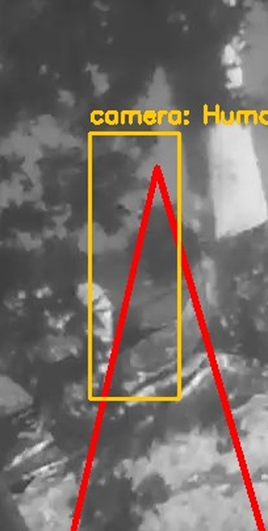 Zoom on the region the camera flagged