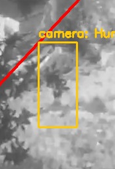 Zoom on the region the camera flagged