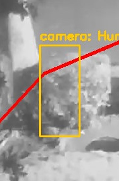 Zoom on the region the camera flagged