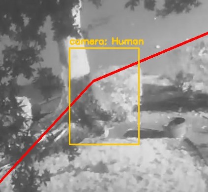 Zoom on the region the camera flagged