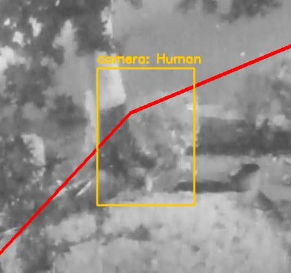 Zoom on the region the camera flagged