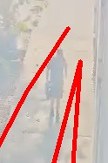 Zoom on the region the camera flagged