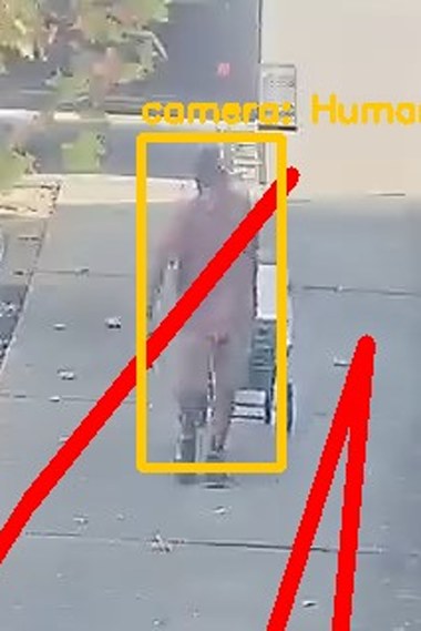 Zoom on the region the camera flagged
