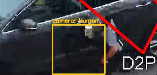 Zoom on the region the camera flagged
