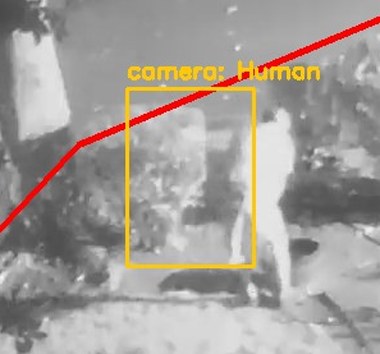 Zoom on the region the camera flagged