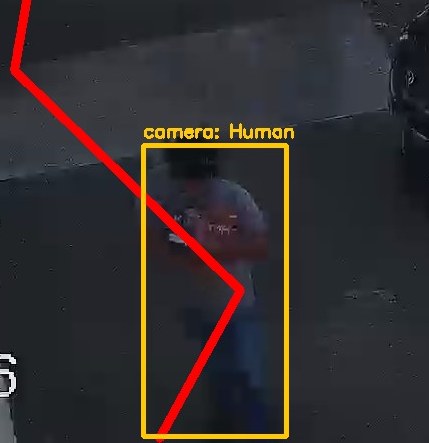 Zoom on the region the camera flagged